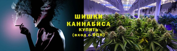 шишки Алзамай