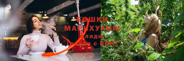 шишки Алзамай