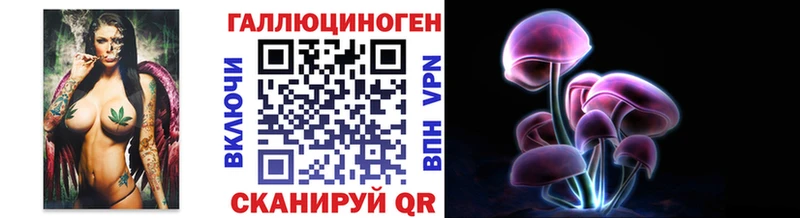 Псилоцибиновые грибы Psilocybe  где можно купить   Обнинск 