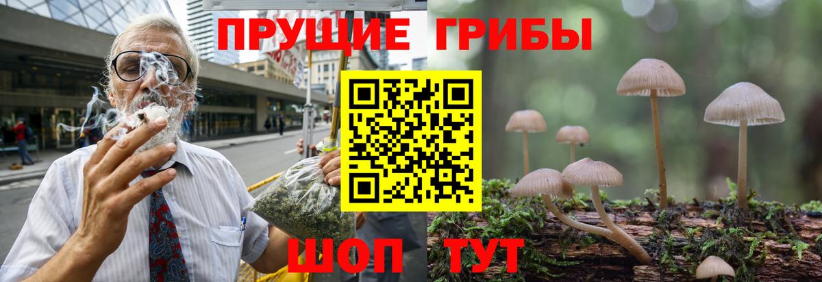 Псилоцибиновые грибы ЛСД  Псилоцибиновые грибы Psilocybe  Вход с VPN  Обнинск 